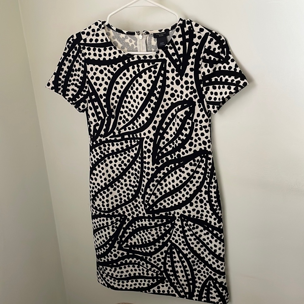 Ann Taylor Black and Cream Body con Dress